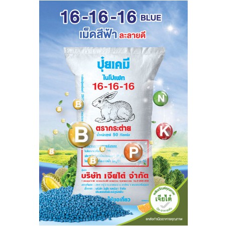 16-16-16 บลู ตรากระต่าย