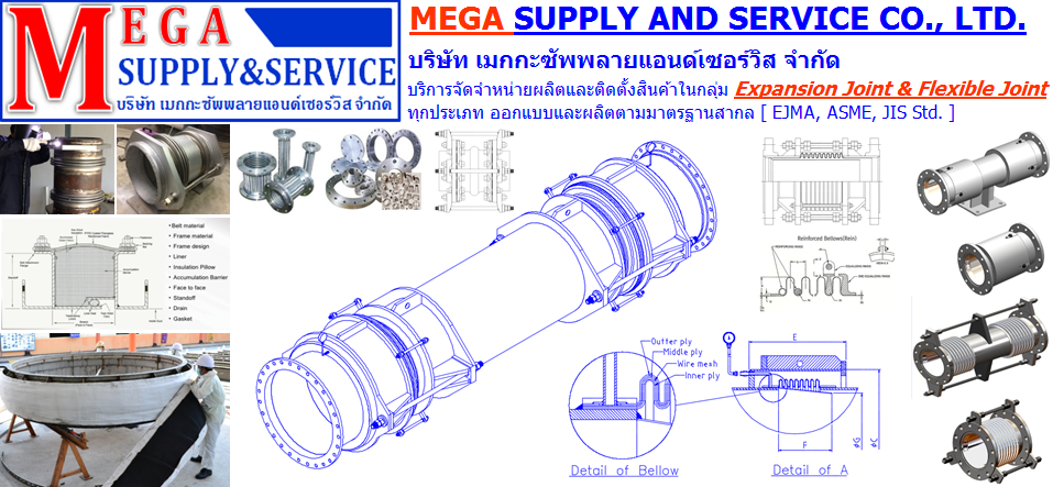 Mega Supply and Service Co., Ltd.