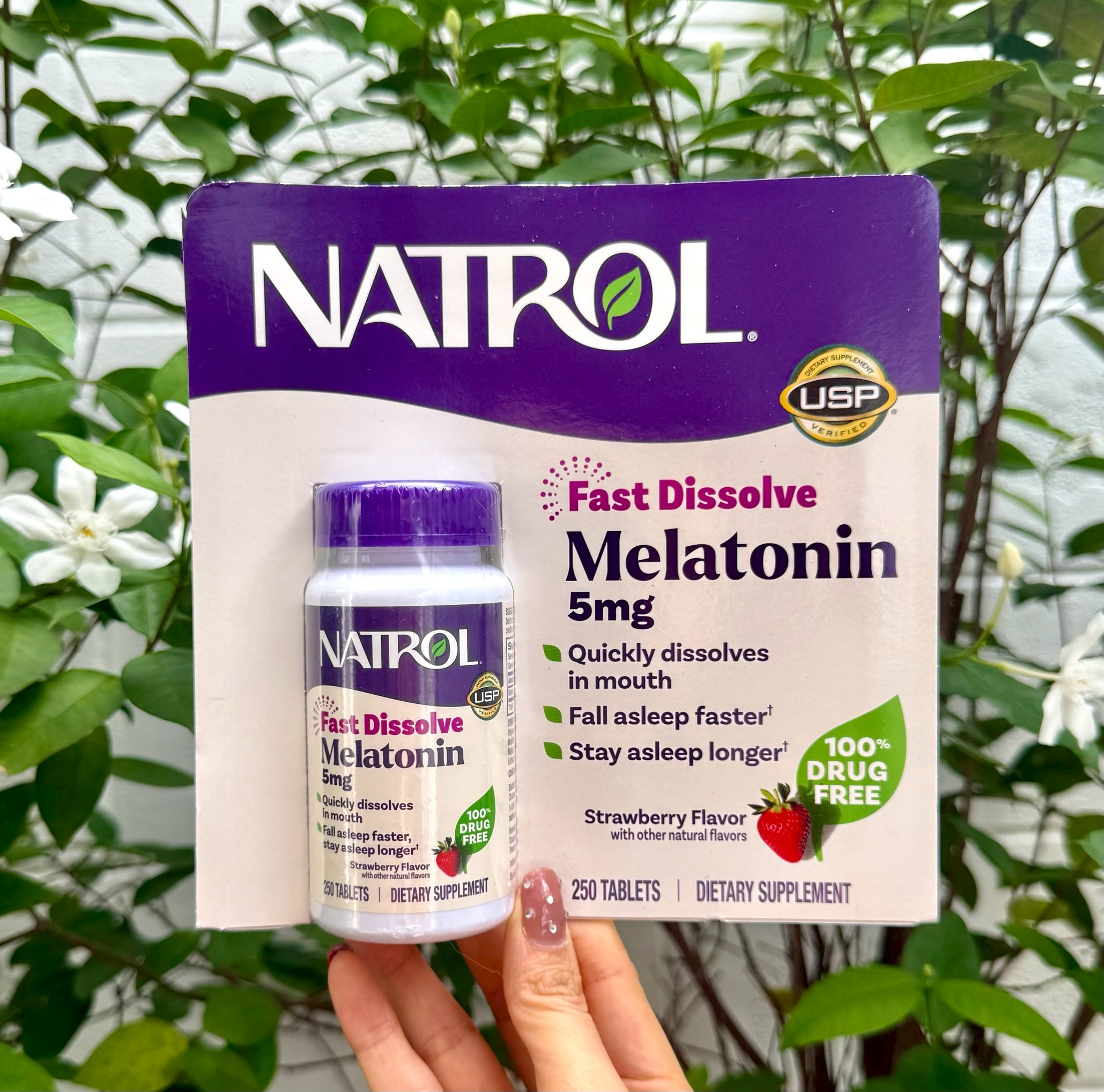 Natrol Melatonin Time Release Fast Dissolve 5 mg. 250 เม็ด เมลาโทนิน**แบบอม -รสสตรอเบอร์รี่
