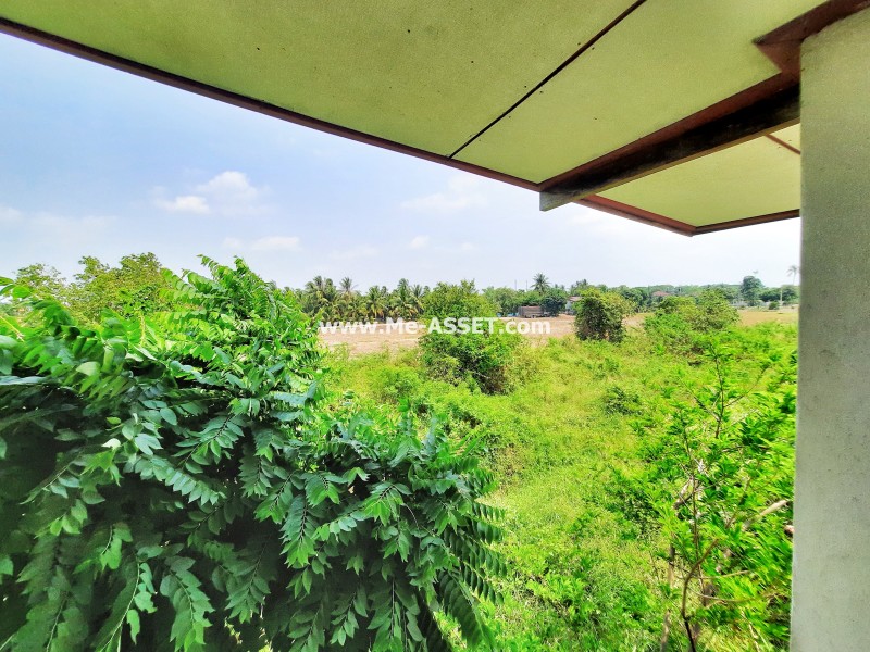 ขายบ้านเดี่ยว ถ.บางบัวทอง-สุพรรณ ต.ระแหง อ.ลาดหลุมแก้ว ปทุมธานี / พื้นที่ 2 ชั้น 200 ตารางวา