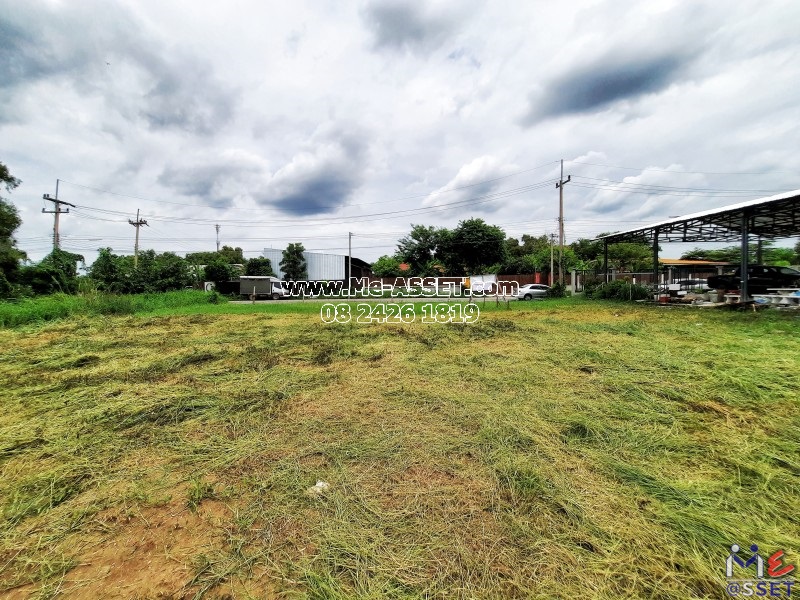 ขายที่ดินถมแล้ว ติดถนน ย่าน ลำสามแก้ว สวนส้มพัฒนา ลำลูกกาคลอง 2 : ซอยพวงส้ม ใกล้ตลาดบุญร่มเย็น : เนื้อที่รวม 300 ตร.วา แบ่งขายได้