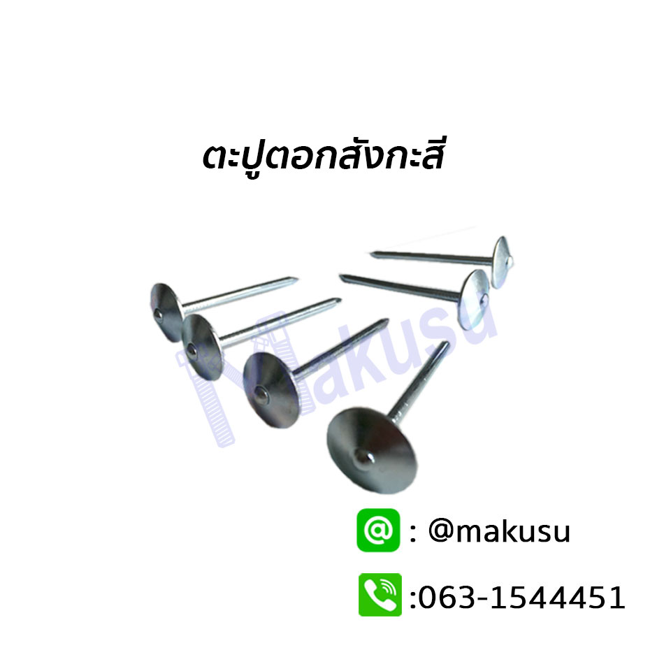 ตะปูตอกสังกะสี ตะปูตอกสังกะสีพร้อมแหวนสังกะสี ตะปูสังกะสีคุณภาพสูง