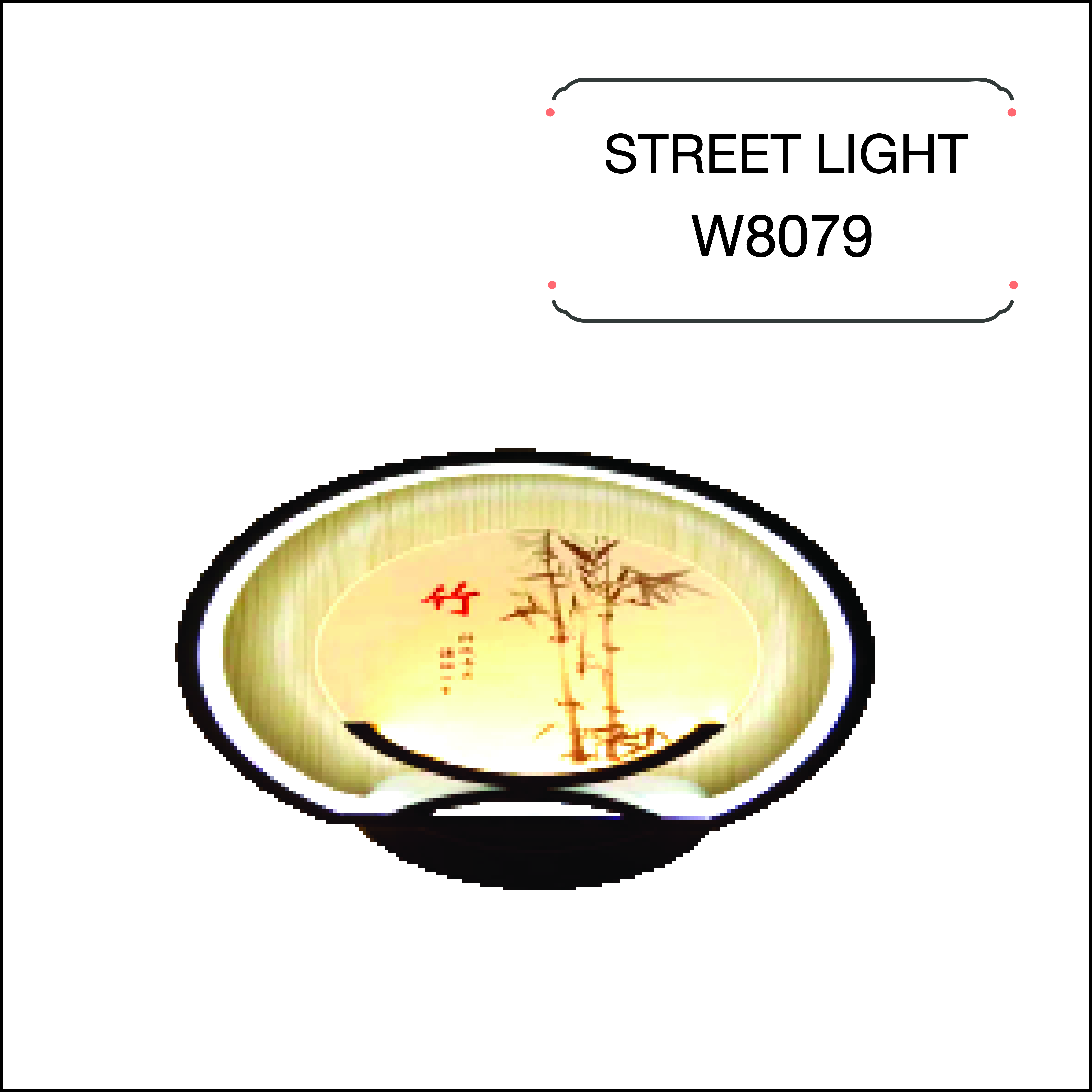 W8079