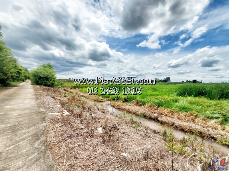 ขายที่ดินเปล่า ย่าน บึงทองหลาง ลำลูกกา คลอง11 : ใกล้บริษัทกิตติแมนูแฟคเจอร์ริ่ง : มี 5 แปลง / 100-200 ตร.วา / ราคาตารางวาละ 4,250 - 5,000 บาท
