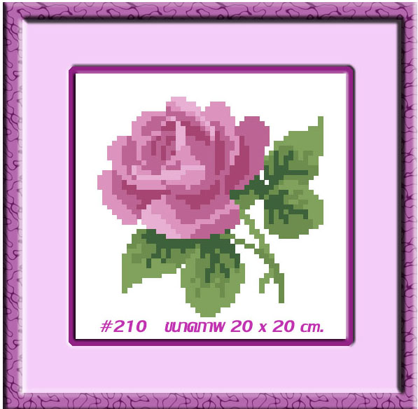TMINI 210+กรอบ