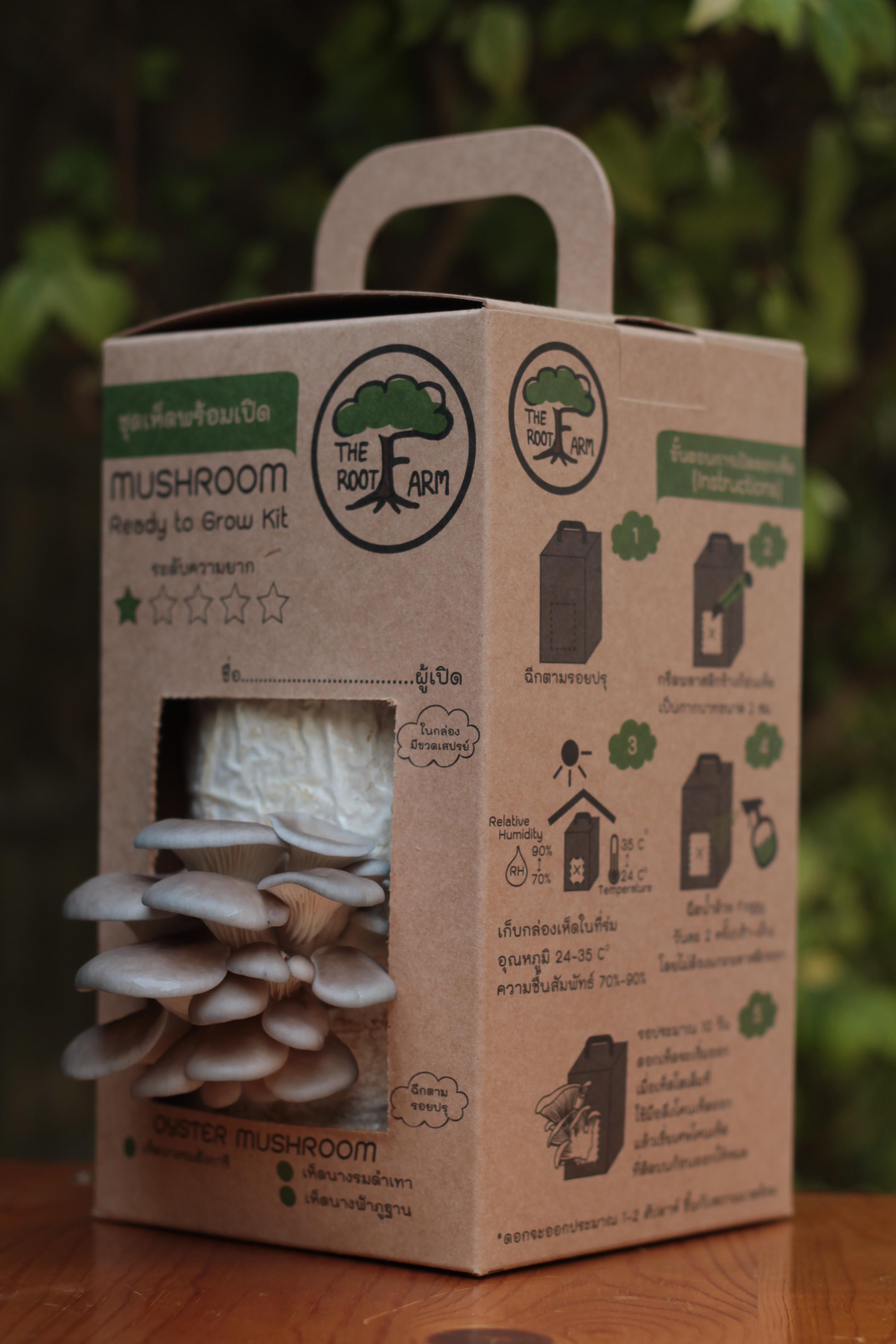 ชุดคิทเห็ดนางรมเทาพร้อมเปิด (Mushroom Ready To Grow Kit)