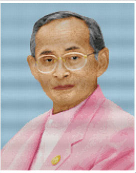 ในหลวงฉลองพระองค์สีชมพู
