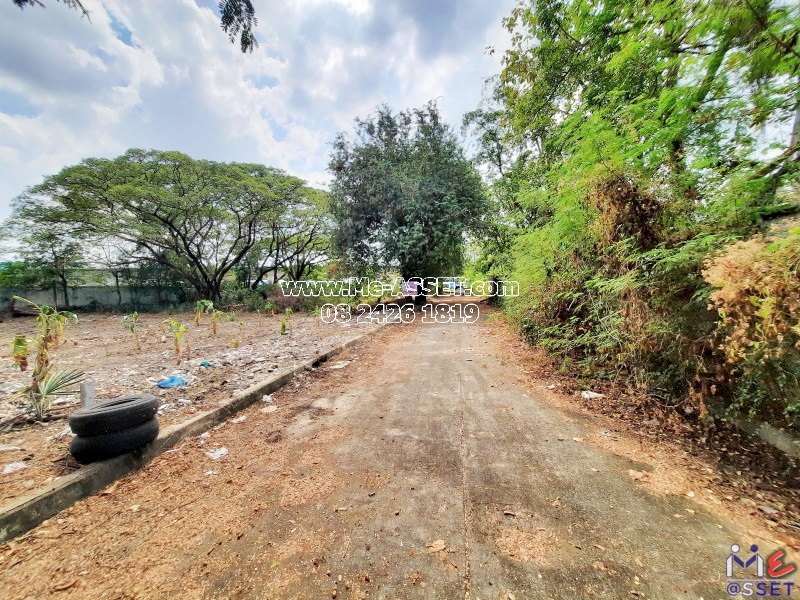ขายที่ดินถมแล้ว ย่าน เสาธงหิน แก้วอินทร์ เซ็นทรัลเวสเกต ตลาดบางใหญ่ : ใกล้ตลาดมิกซ์บางใหญ่ : 198 ตารางวา