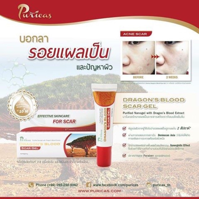 แท้พร้อมส่ง‣ Puricas Dragon's Blood Scar Gel เพียวริก้าส์ เจลรักษาแผลเป็น (8 กรัม)