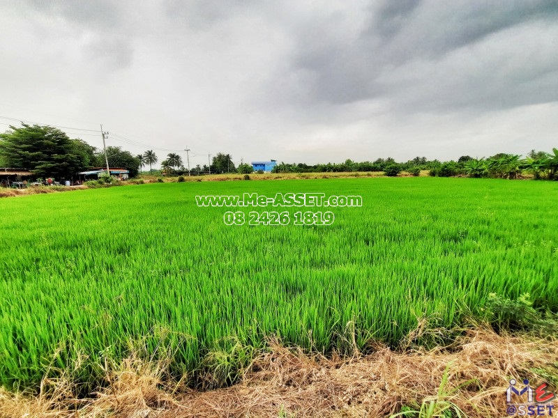 ขายที่ดินเปล่า ย่าน ลานตากฟ้า มหาสวัสดิ์ ดอนแฝก : ใกล้ ปายนาคาเฟ่ : 3-3-70 ไร่ มี 2 แปลงติดกัน