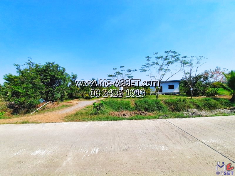 ขายที่ดินเปล่า ย่าน วัดละมุด บางแก้วฟ้า ห้วยพลู บางพระ : ใกล้บ้านปันสุขรีสอร์ทนครชัยศรี และสี่แยกวัดละมุด : 3-1-77.7 ไร่