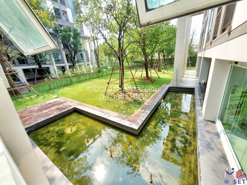 ขายและเช่า คอนโด ย่าน ศาลายา มหาสวัสดิ์ มหิดล ตั้งสิน สหพร บรมราชชนนี พุทธมณฑล : เซลศาลายา (Zelle Salaya) : 30.33 ตารางเมตร