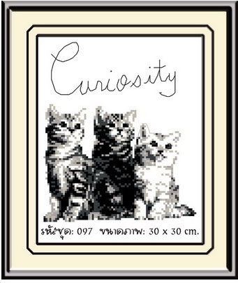 THREE CATS