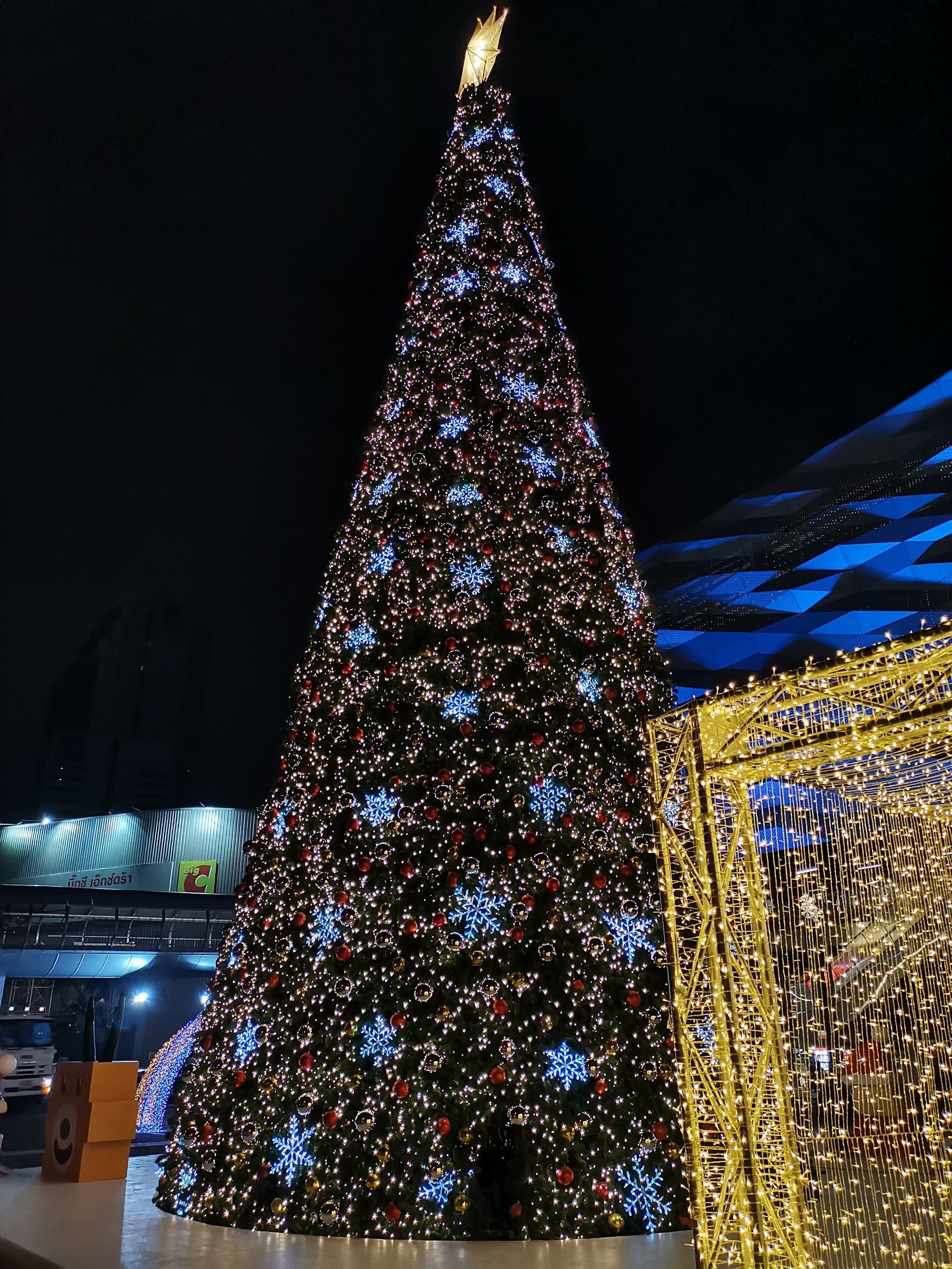 christmastree18