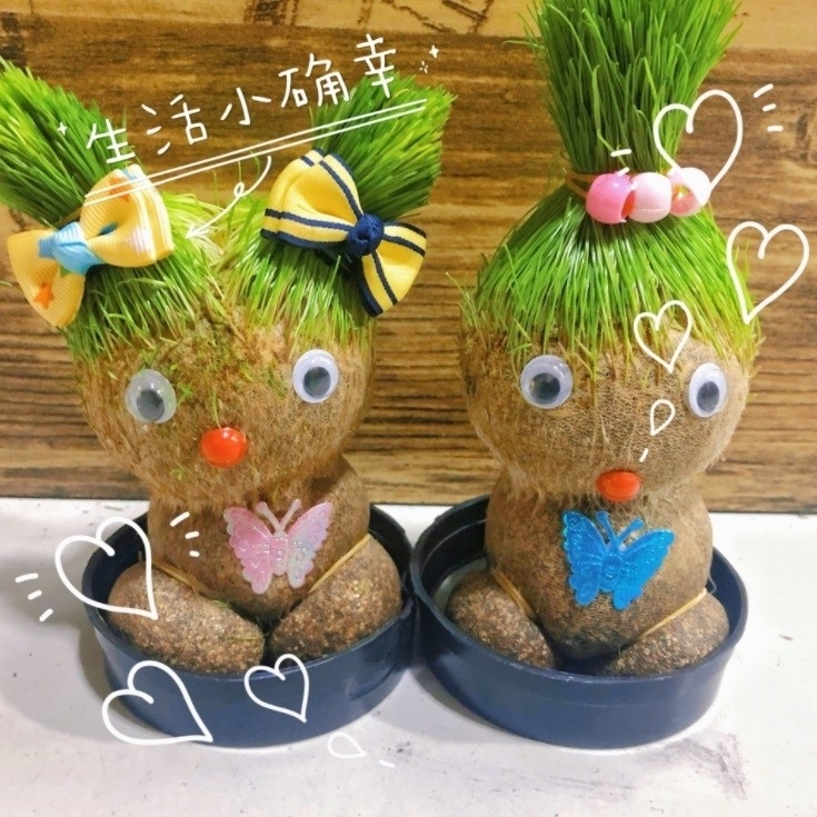 ตุ๊กตาต้นหญ้า
