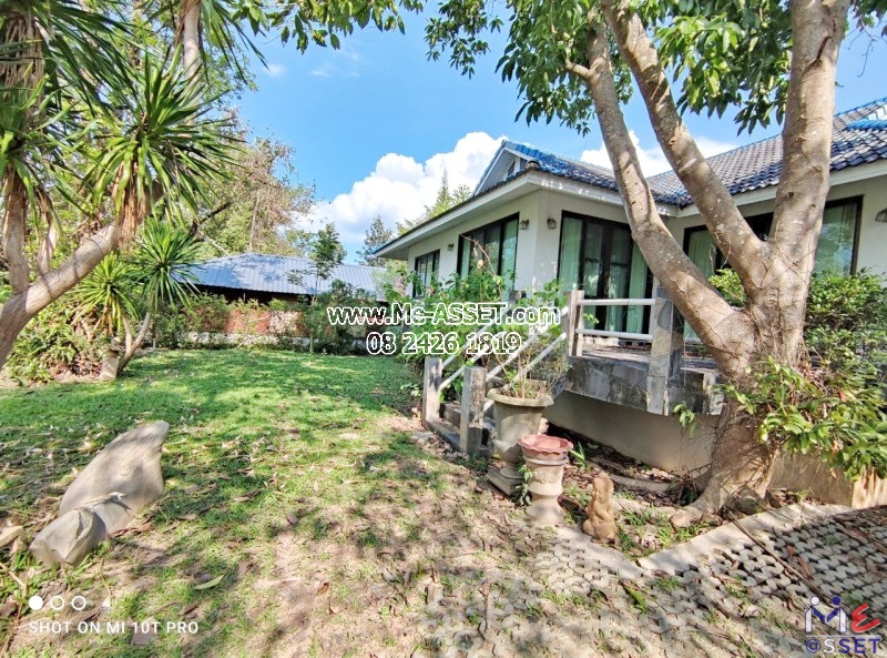 ขายบ้านเดี่ยว ย่าน เขาใหญ่ นิคมสร้างตนเอง มิตรภาพ มวกเหล็ก สระบุรี : ไอวี่คอทเทจบายคิวว์ Ivy Cottage by Qiu : 1 ชั้น 120 ตารางวา