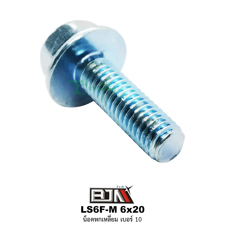 LS6F-M 6x20 น็อตหกเหลี่ยมเบอร์ 10 ( 1 ถุงมี 50 ตัว )