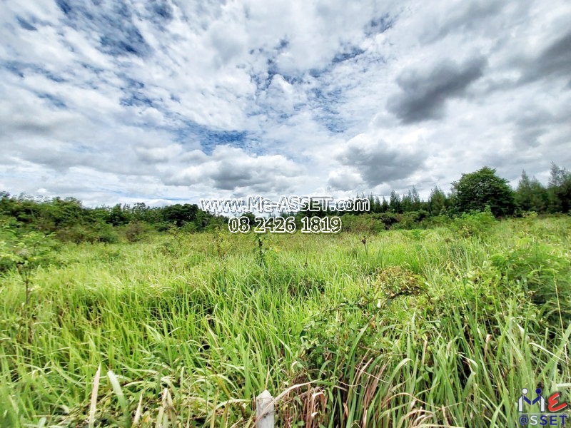 ขายที่ดินเปล่า น.ส.3ก. ย่าน หน่องมะค่า ชัฏป่าหวาย ท่าเคย สวนผึ้ง จอมบึง : ใกล้ พาระเมอรีสอร์ท Paramer Resort : 10 ไร่