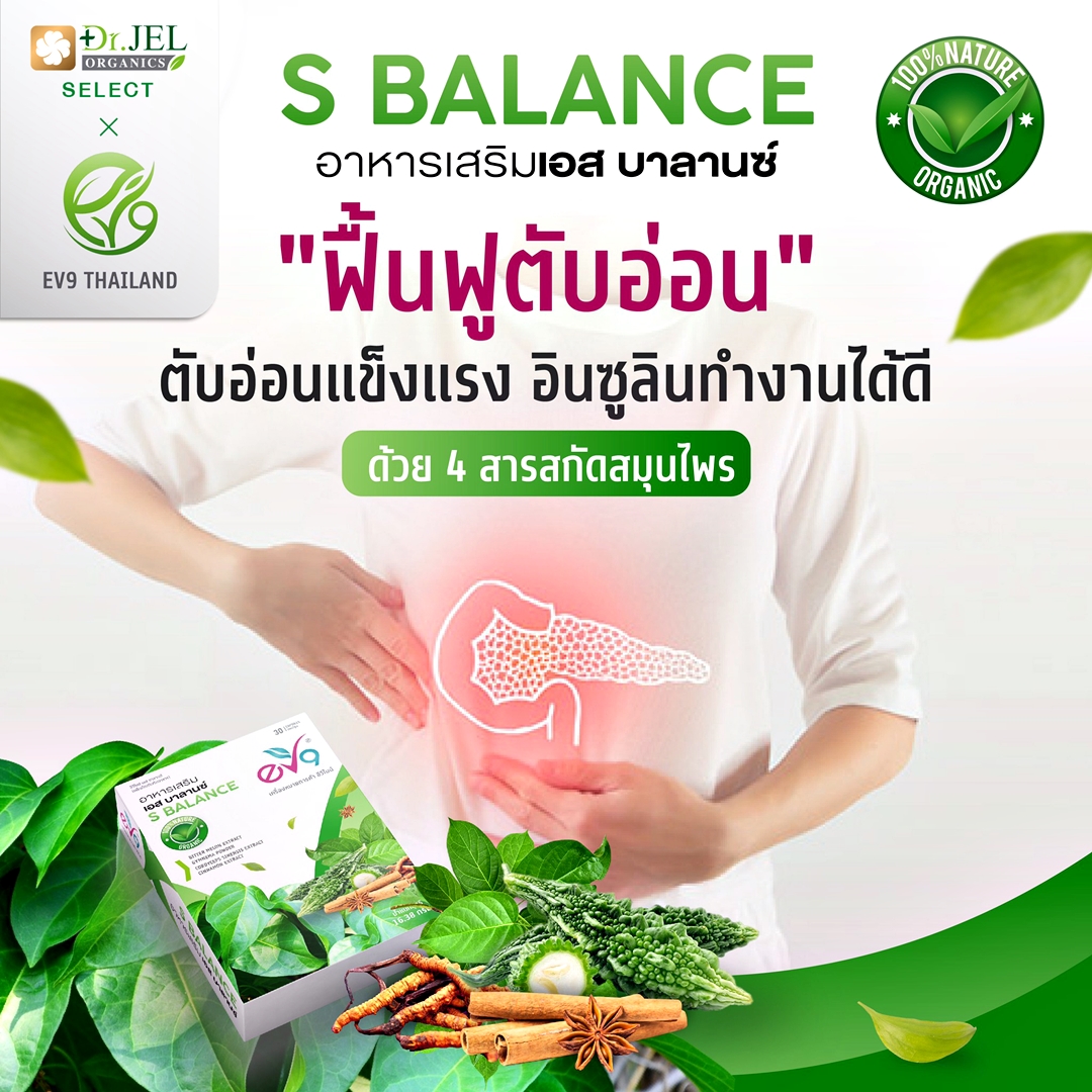 ผลิตภัณฑ์เสริมอาหาร ควบคุมเบาหวาน ลดน้ำตาลในเลือด สาเหตุหลักของผู้ป่วยเบาหวาน(ชุด 4 กล่อง)