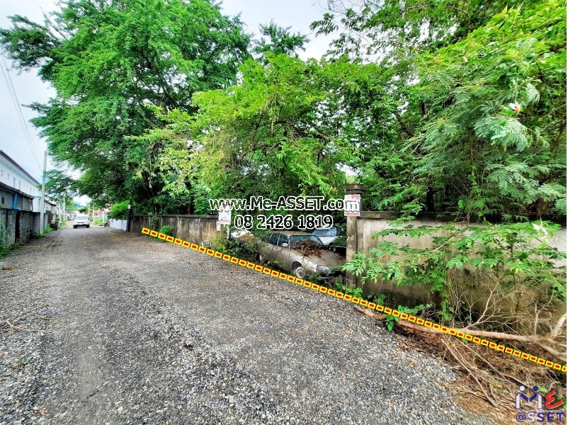 ขายที่ดินเปล่า ย่าน สะพานใหม่ คลองถนน สายไหม หลักสี่ บางเขน : พหลโยธิน 54/1 แยก 6-2 (ซอยแสงทรัพย์) : 399 ตร.วา