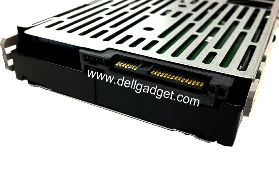 HDD Server Dell 1 TB 7.2K 3.5" SAS 12Gb แท้ ฮาร์ดดิส Dell R730 T630 R730XD R430 R530 T430 R230 T330 R220 ราคา พิเศษ