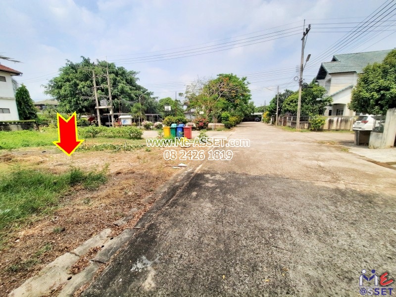 ขายที่ดินจัดสรร ถมแล้ว ย่าน ศาลายา บางภาษี คลองโยง มหาสวัสดิ์ ดาวทอง : ม.พุทธมณฑลแลนด์ : 62 ตร.วา