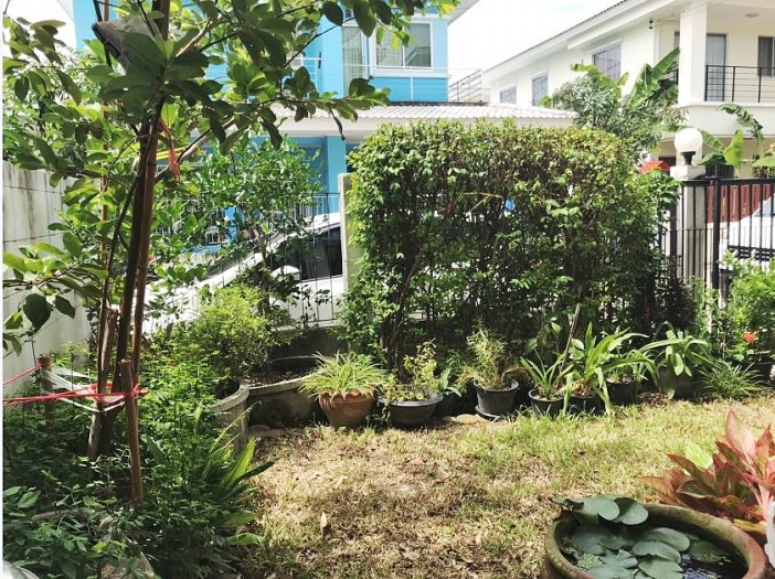 ขายบ้านแฝด ม.วิเศษสุขนคร 19 เฟส 2 ถ.พระราม 2 ซ.วัดพันท้ายนรสิงห์ ต.พันท้ายนรสิงห์ อ.เมือง สมุทรสาคร / พื้นที่ 2 ชั้น 35.9 ตารางวา