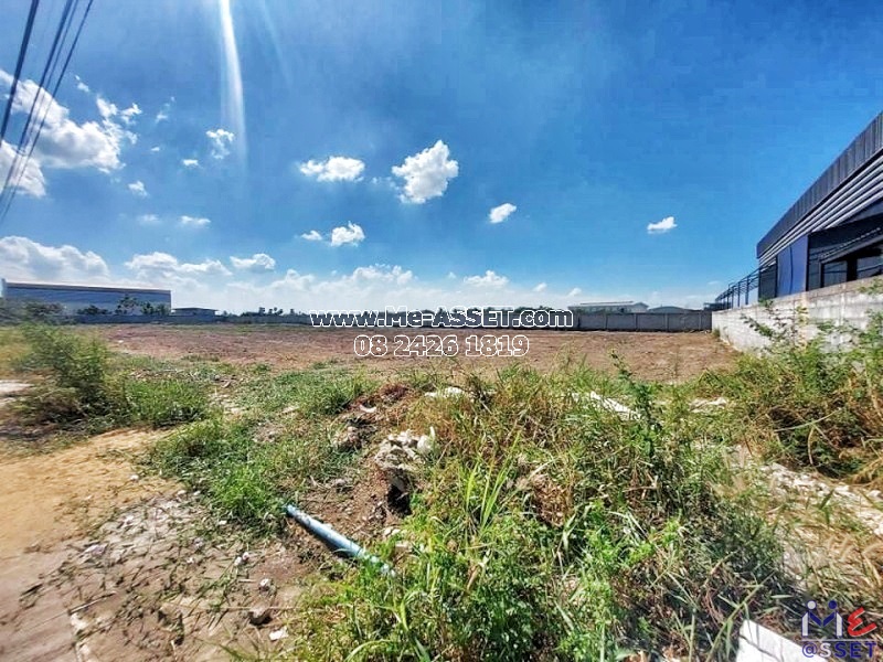 ขายที่ดินถมแล้ว ติดถนน ย่าน บ้านคลอง หน้าไม้ ลาดหลุมแก้ว ปทุมธานี : ใกล้ อบต.หน้าไม้ : 200 ตารางวา มี 6 แปลงติดกัน