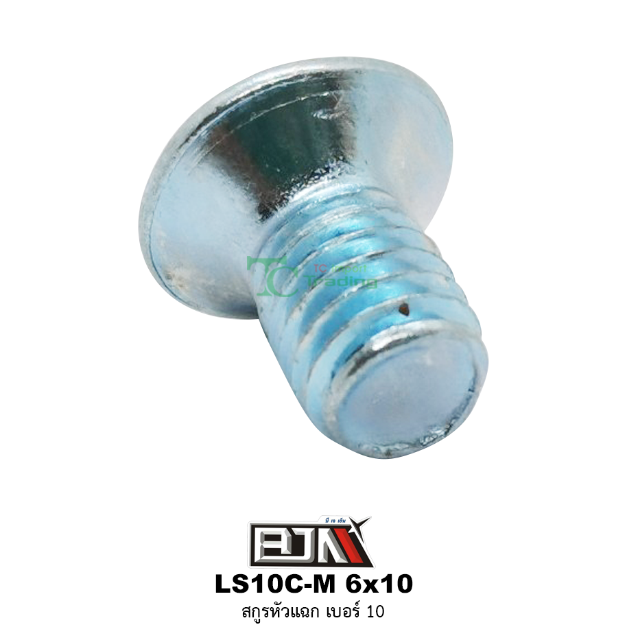 LS10C-M 6x10 สกูรหัวแฉก เบอร์ 10 ( 1 ถุงมี 50 ตัว )