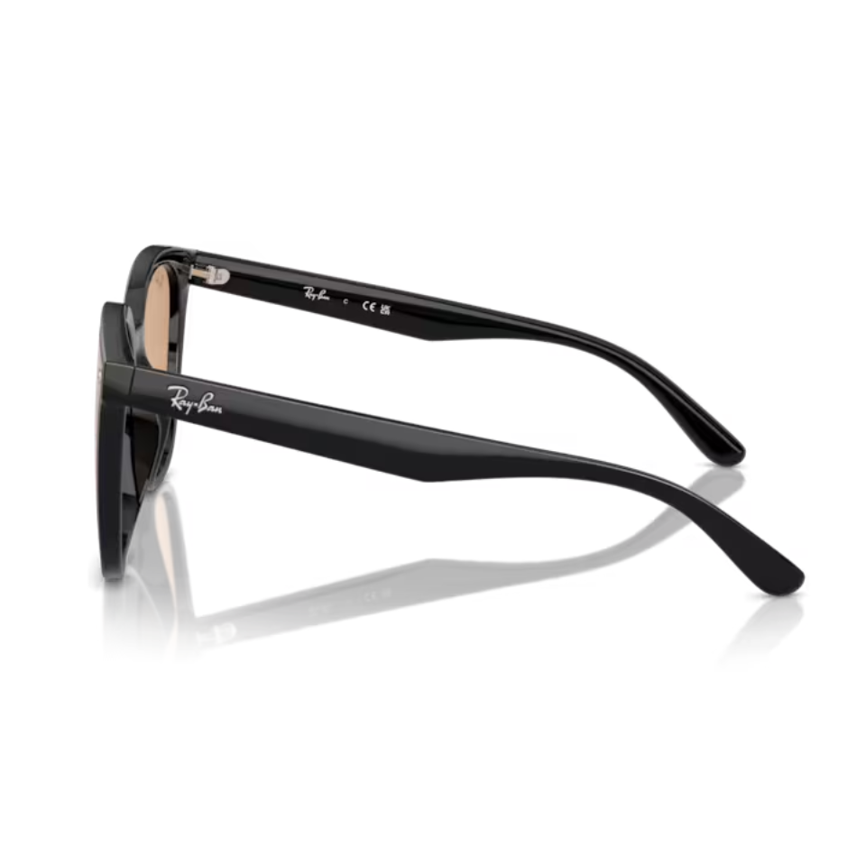 แว่นกันแดด RayBan RB4423D 601/93 66