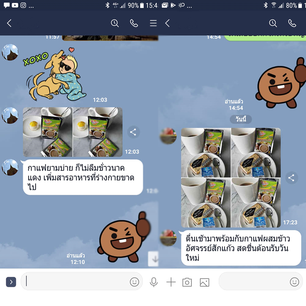 ข้าวกล้องงอกผง ชงดื่ม 6 สายพันธ์ ธัญพืชเพื่อสุขภาพ สำหรับคนสูงวัย [อินทรีย์] อาหารผู้ป่วยเบาหวาน สำเนา