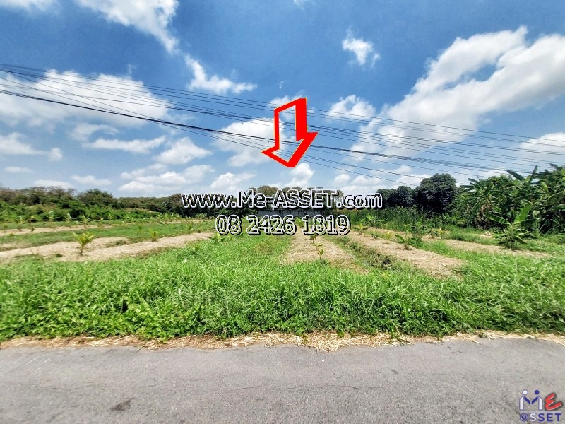 ขายที่ดินเปล่า ย่าน เอกชัย ดาวคะนอง จอมทอง บางบอน บางขุนเทียน : ใกล้โรงเรียนศึกษานารีวิทยา : 3 ไร่