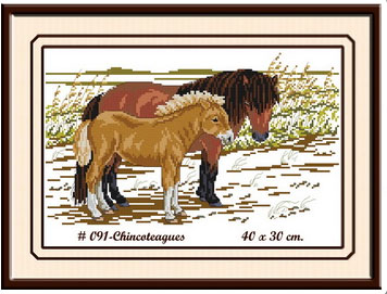 CHINCOTEAGUES