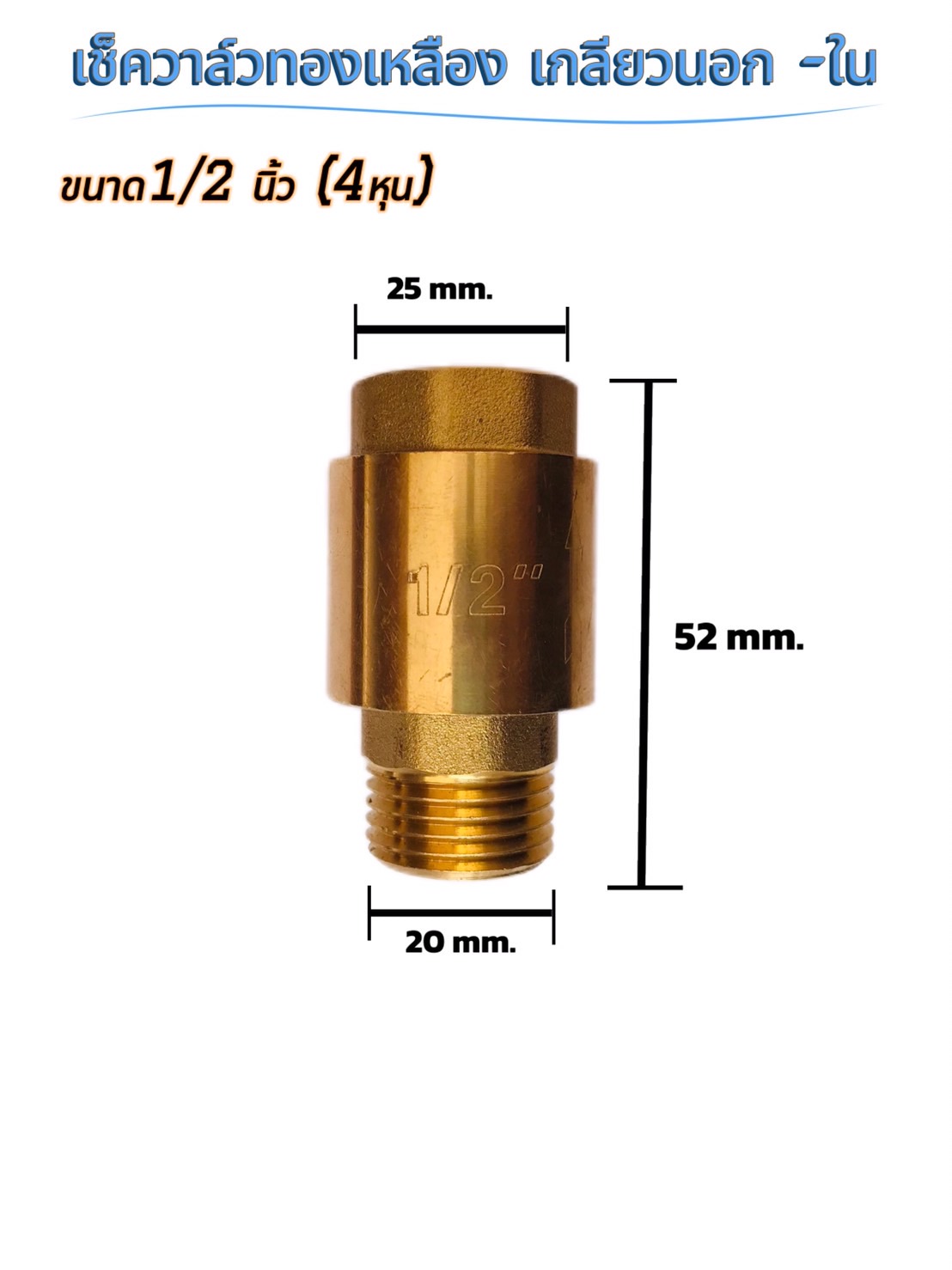 เช็ควาล์วทองเหลือง ขนาด 1/2 นิ้ว เกลียวใน-นอก (น้ำเข้าด้านเกลียวนอก) Brass Check Valve 1/2 inch Female-Male (ThreadInlet pipe, external thread )#00009