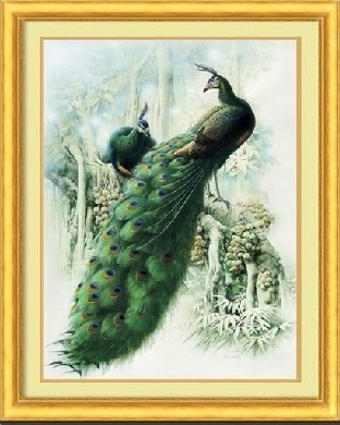 Green Forest Peacock (พิมพ์ลาย)
