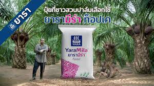 10-10-30 ยารา TOP K