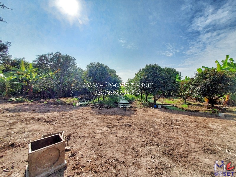 ขายที่ดินถมแล้ว ย่าน ลานตากฟ้า มหาสวัสดิ์ งิ้วราย ดาวทอง : ใกล้ ม.พฤกษา 4 : 200 ตารางวา