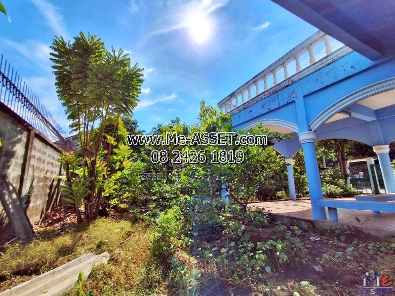 ขายบ้านเดี่ยว โซนประชาชื่น แจ้งวัฒนะ เชื่อมงามวงศ์วาน หลักสี่ บางเขน ใกล้รถไฟฟ้าสายสีชมพู ศูนย์ราชการ อิมแพคเมืองทองธานี ม.ธุรกิจบัณฑิตย์ รพ.มงกุฎวัฒนะ : มบ.การไฟฟ้าส่วนภูมิภาคนิเวศน์2 : 2 ชั้น 100 ตร.วา