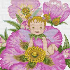 นางฟ้าน้อยสีชมพู (Pink Fairy)