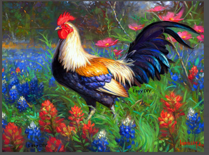 ไก่แจ้