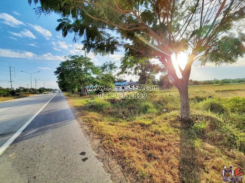 ขายที่ดินเกษตร ย่าน ไร่รถ หนองนา จิกรากข่า หนองแจง ดอนเจดีย์ อำเภอเมือง สุพรรณบุรี : ใกล้ อบต.ไร่รถ : 13 ไร่