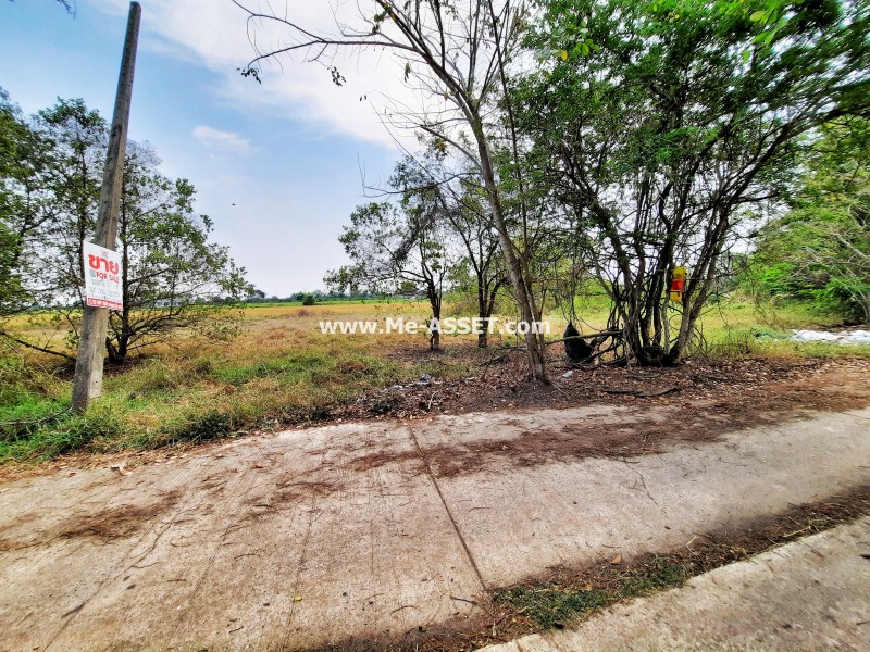 ขายที่ดินถมแล้ว ย่าน ดอนฉิมพลี บางน้ำเปรี้ยว วัดพืชอุดม ลำลูกกา คลอง 16 : ถ.ลำลูกกา คลอง 16 : 83.5 ตารางวา (มี 2 แปลงติดกัน)