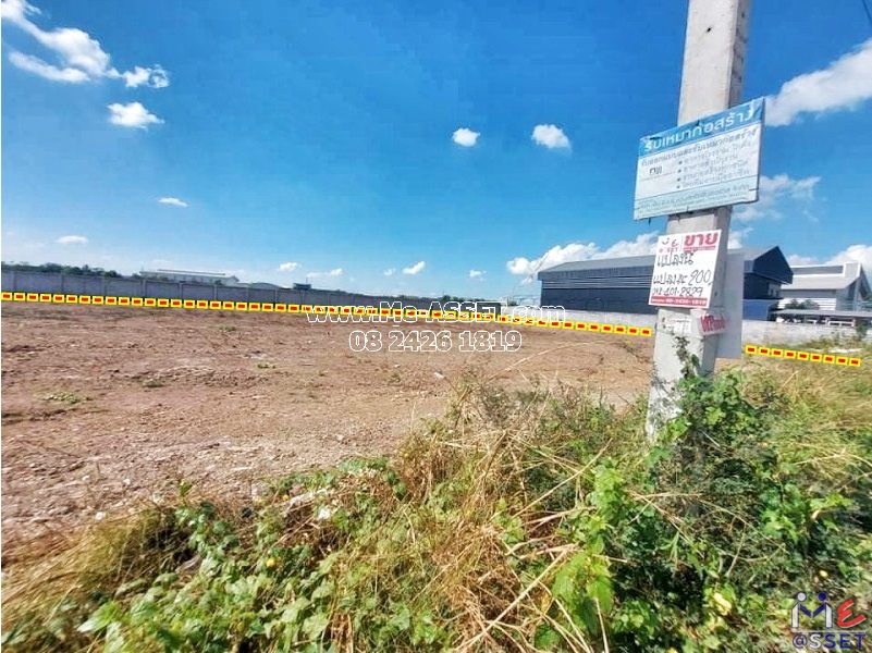 ขายที่ดินถมแล้ว ติดถนน ย่าน บ้านคลอง หน้าไม้ ลาดหลุมแก้ว ปทุมธานี : ใกล้ อบต.หน้าไม้ : 200 ตารางวา มี 6 แปลงติดกัน