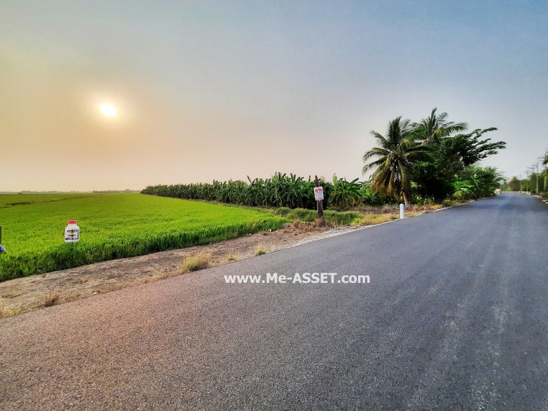 ขายที่ดินเปล่า ถ.บางแก้วฟ้า-ห้วยพลู ต.บางแก้วฟ้า อ.นครชัยศรี นครปฐม / พื้นที่ 15-3-13 ไร่