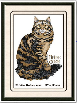 MAINE COON