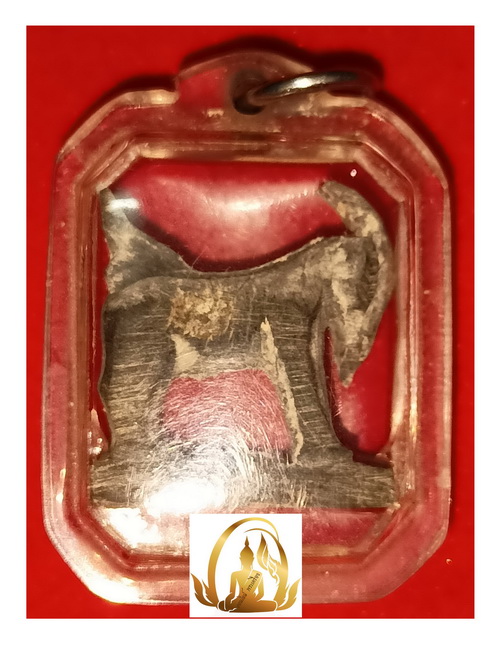 แพะเศรษฐี เขาควายฟ้าผ่า หลวงพ่ออาด วัดบุญสัมพันธ์ ชลบุรี