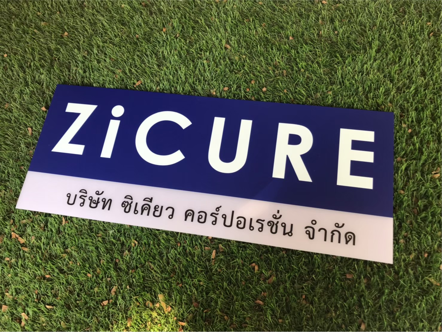 ป้ายสกีน