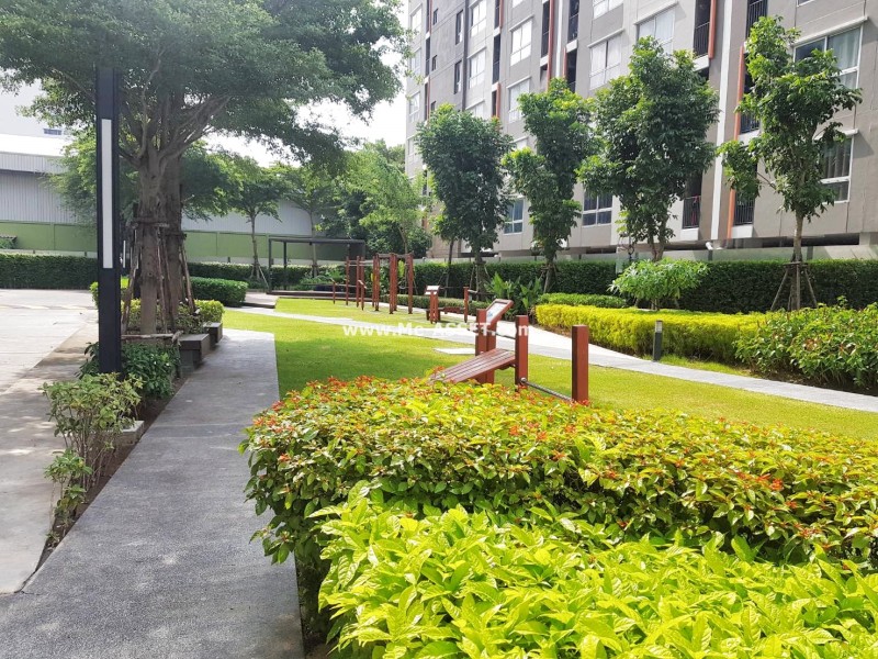 ให้เช่าคอนโด ใกล้รถไฟฟ้า ย่าน ภาษีเจริญ หนองแขม พุทธมณฑลสาย 2 : ฟิวส์เซนเซ่ บางแค : 23.32 ตารางเมตร