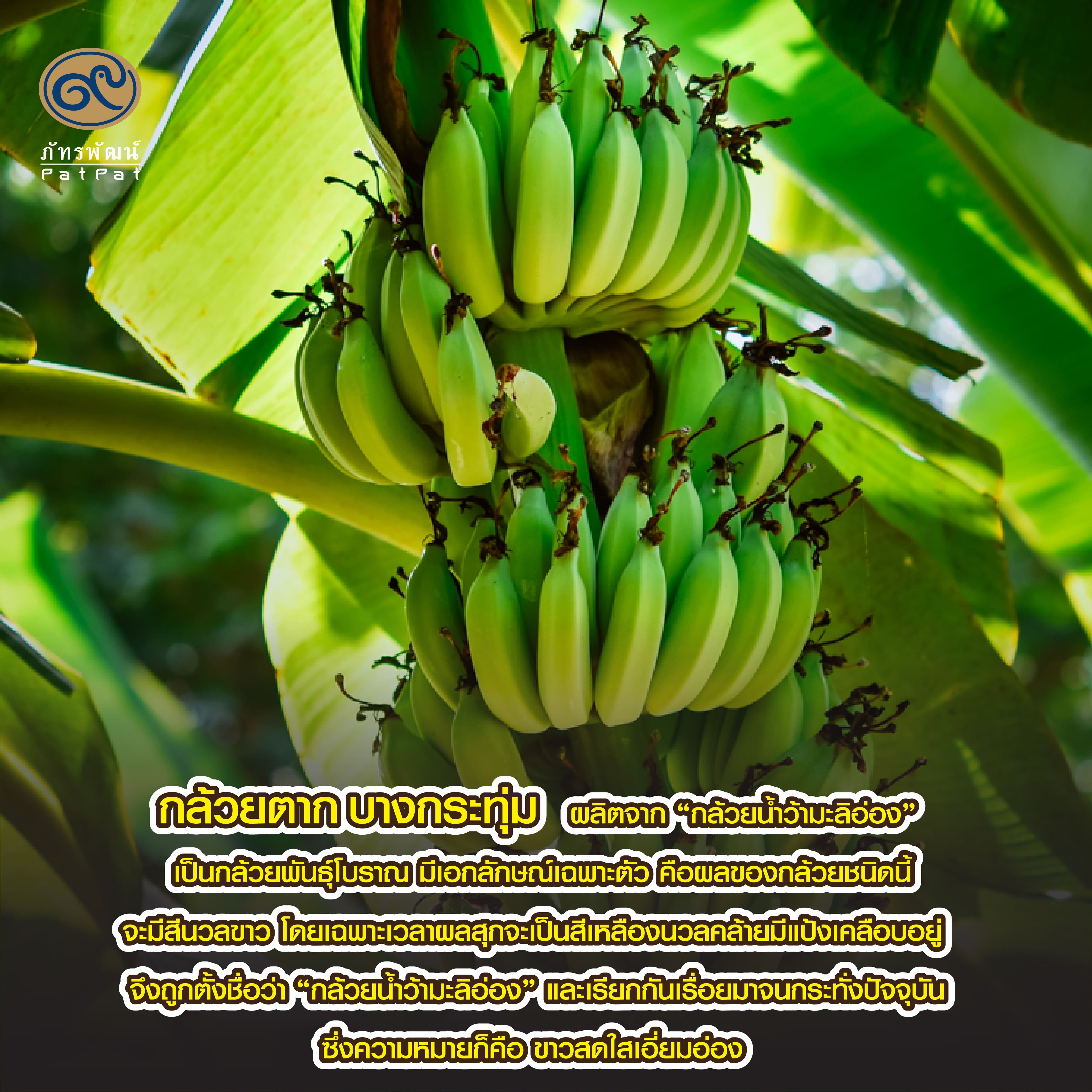 กล้วยตาก (Sun dried Banana)