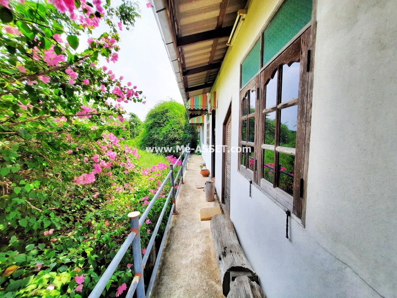 ขายบ้านเดี่ยว ถ.บางบัวทอง-สุพรรณ ต.ระแหง อ.ลาดหลุมแก้ว ปทุมธานี / พื้นที่ 2 ชั้น 200 ตารางวา